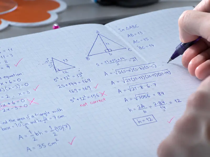 A page of solved equations and triangle areas, ticked in red